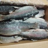 ООО АММ ФИШ