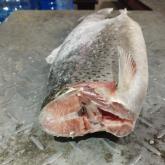 ООО АММ ФИШ