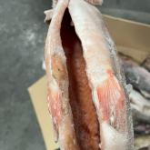 ООО АММ ФИШ