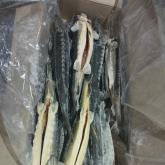 ООО АММ ФИШ