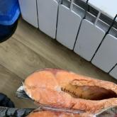 ООО АММ ФИШ