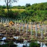 Монтаж винтовых свай для Зоны отдыха на Шуваловском проспекте в Санкт-Петербурге
