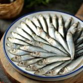 Томская рыбная компания-плюс