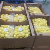 картофель очищенный в/у