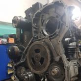 ГК Стройтехимпорт