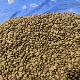 Состав: Мясо и субпродукты индейки (дегидрированное мясо индейки - 25%, свежее мясо индейки - 12,5%), цельнозерновой рис, картофель, жир индейки (консервированный витамином Е в форме альфа-токоферол ацетата), растительные волокна (натуральный источник клетчатки), дрожжи пивные (натуральный источник пребиотиков МОS), масло лососевых рыб, цельное семя льна (натуральные источники DHA и ARA), сушеный корень цикория (натуральный источник FOS и инулина), экстракт юкки шидигера, витамины и минералы.