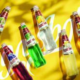 Грузинские лимонады Zedazeni Premium 0,5