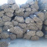 БВБ-АЛЬЯНС-РОСТОВ