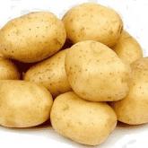 Сады Гиганта