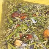 Мы добавляем много трав!