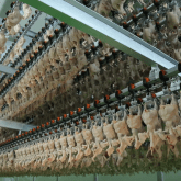 Линия охлаждения