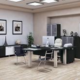 Темпометрика