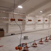 Монтаж оборудования для напольного сооружения птицы