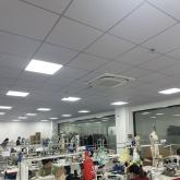 DG Factory 