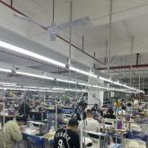 DG Factory 