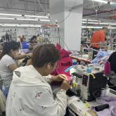 DG Factory 