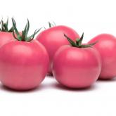Помидор розовый салатный премиум класса