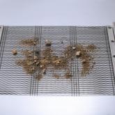 Струнные сита