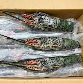 Бамбуковый лангуст