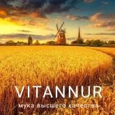 VITANNUR