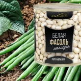 Фасоль белая