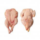 ООО «КРОКУС»