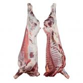 ООО «КРОКУС»