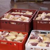 ООО «РАПСОДИЯ»