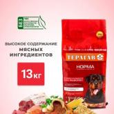 Терагав Норма