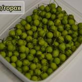 Морское Изобилие