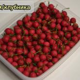 Морское Изобилие