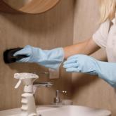 Чистая польза