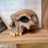 Силиконика