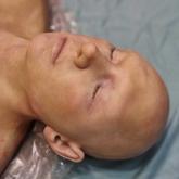 Силиконика