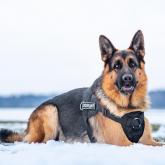 Фирма Каскад