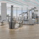 Каменный SPC ламинат Grand Sequoia