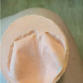 Силиконика