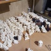 Силиконика