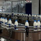 Любимый город