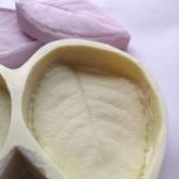 Силиконика