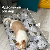 Лежанка 48*68