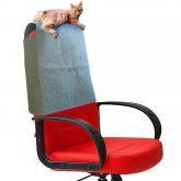 Когтеточка на спинку кресла