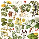 Эковозможность