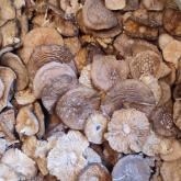 Эковозможность