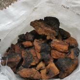 Эковозможность