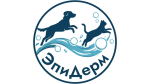 ИП Чистов Максим Сергеевич 