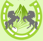 Промышленные предприятия России