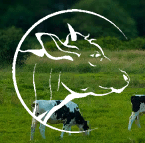 Промышленные предприятия России