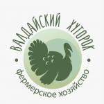 Промышленные предприятия России