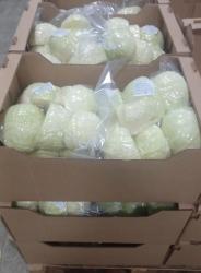 Капуста очищенная в/у 5 кг, короб 4 шт